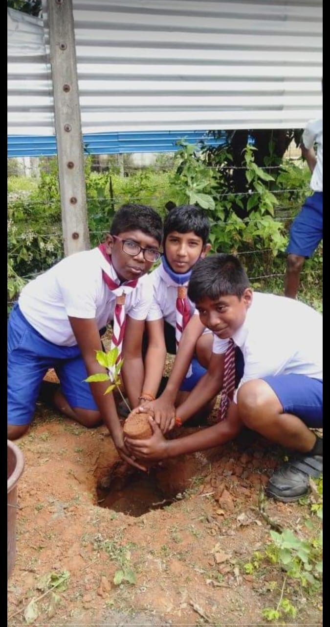 WhatsApp Image 2024-07-19 at 22.54.00_b2bd59cb
